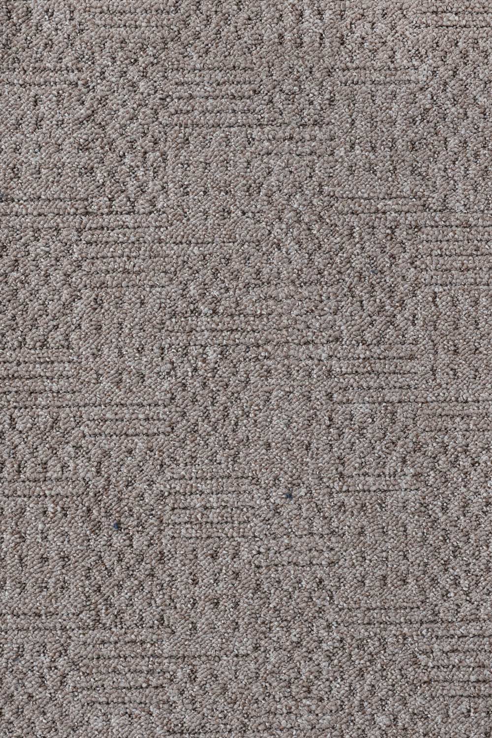 Metrážový koberec GLOBUS 6014 500 cm
